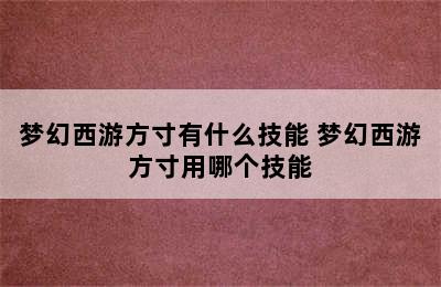 梦幻西游方寸有什么技能 梦幻西游方寸用哪个技能